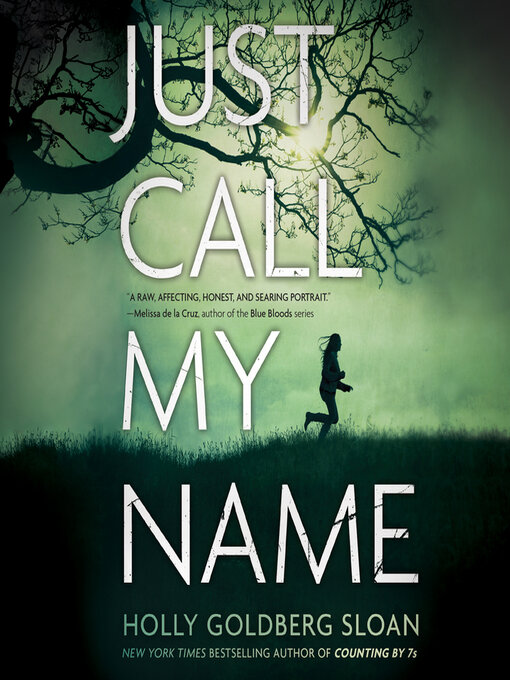 Title details for Just Call My Name by Holly Goldberg Sloan - Available